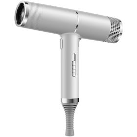 New Concept Hair Dryer Household Hair Dryer (Option: Silver-220V-Gift box)