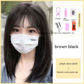 Female Nature Simulation Full Wig (Option: Brownish black set)