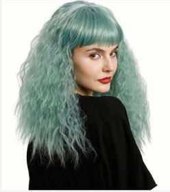 Chemical Fiber Wig Female Long Curly Hair (Option: SW198 6316)