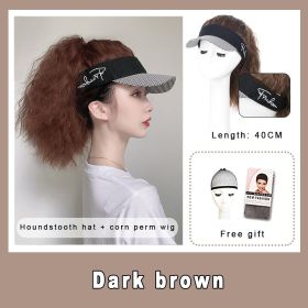 Wig Hat Integrated Women's Fashion Ponytail Wool Fiber Hair Houndstooth Cap Baseball Hat Wig (Option: Dark Brown)