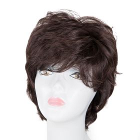 Black Dark Brown Short Rolled Chemical Fiber High-temperature Fiber Wig (Option: Dark Brown)